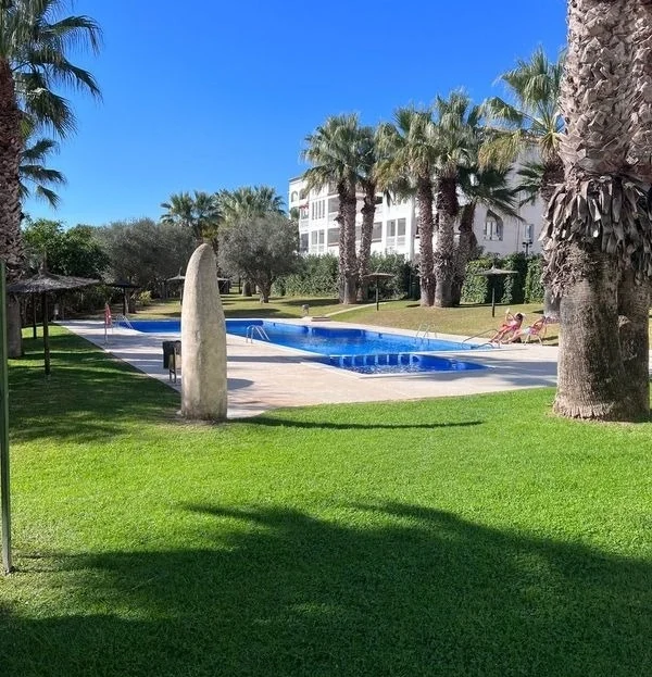video image