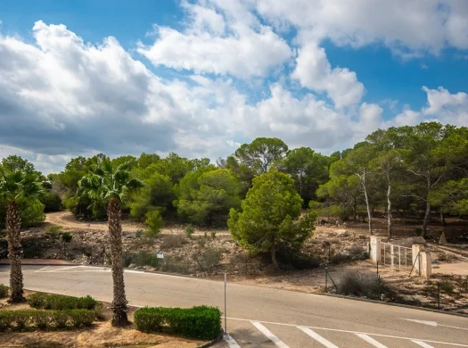 Apartament with garden in Lo Crispin-Algorfa